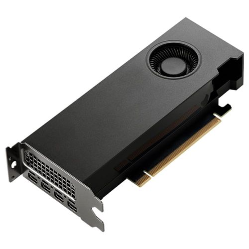 Placa de vídeo NVIDIA Quadro RTX 2000 Ada Generation - PNY VCNRTX2000ADA-PB (16GB GDDR6, PCIe 4.0 x8)