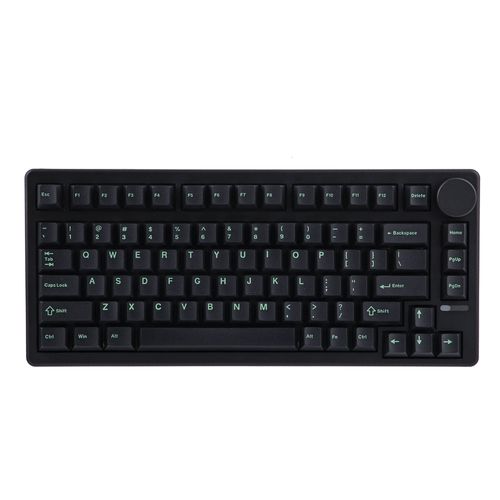 Teclado Mecânico Epomaker QK81 - Black Green (Switch Wisterial Linear)