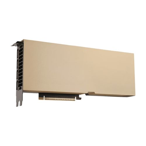 Placa de vídeo NVIDIA RTX PRO 4500 Blackwell Server Edition (32GB, GDDR7, PCIe 5.0 x 16) - NVRTXPRO4500TCGPU-KIT